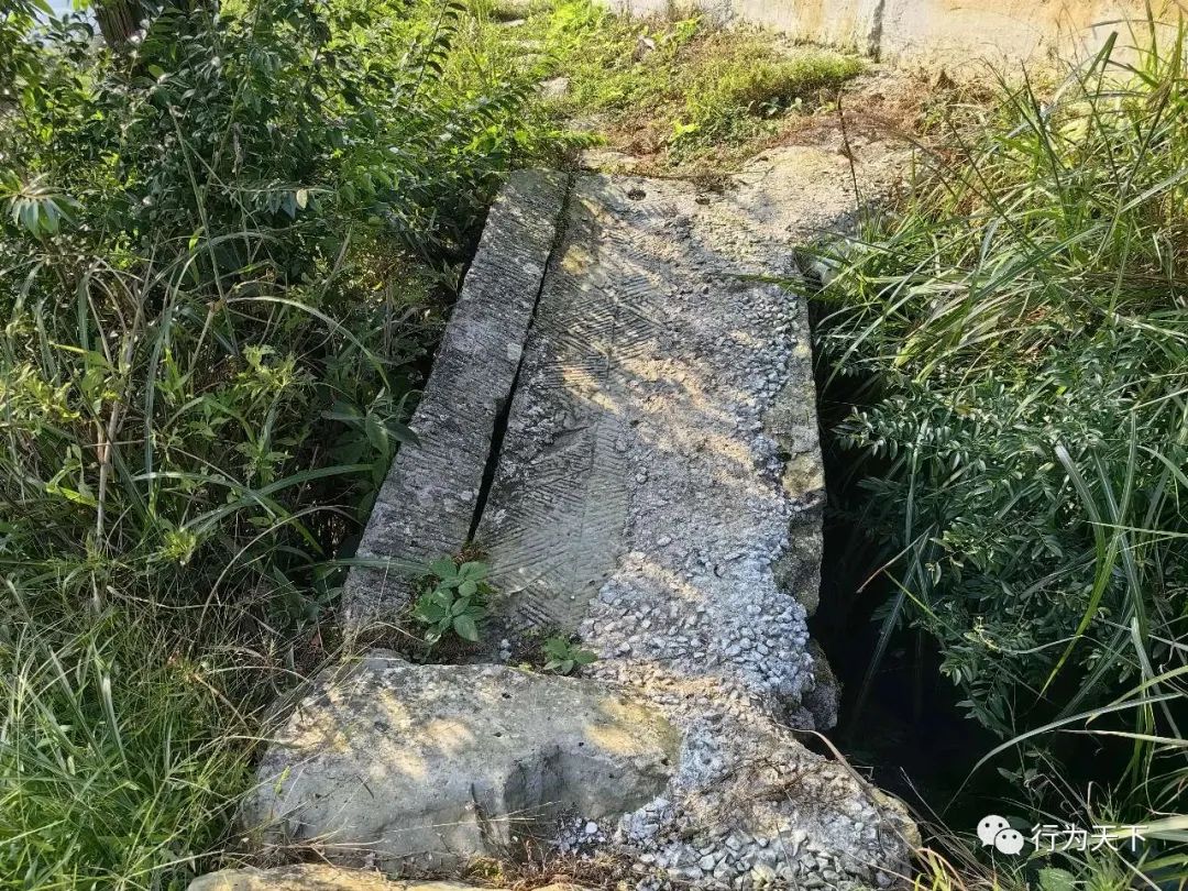 广西龙胜梯田旅游攻略-广西龙胜梯田景区门票(图95) 广西龙胜梯田景区民宿_广西龙胜梯田旅游攻略_广西龙胜梯田景区门票