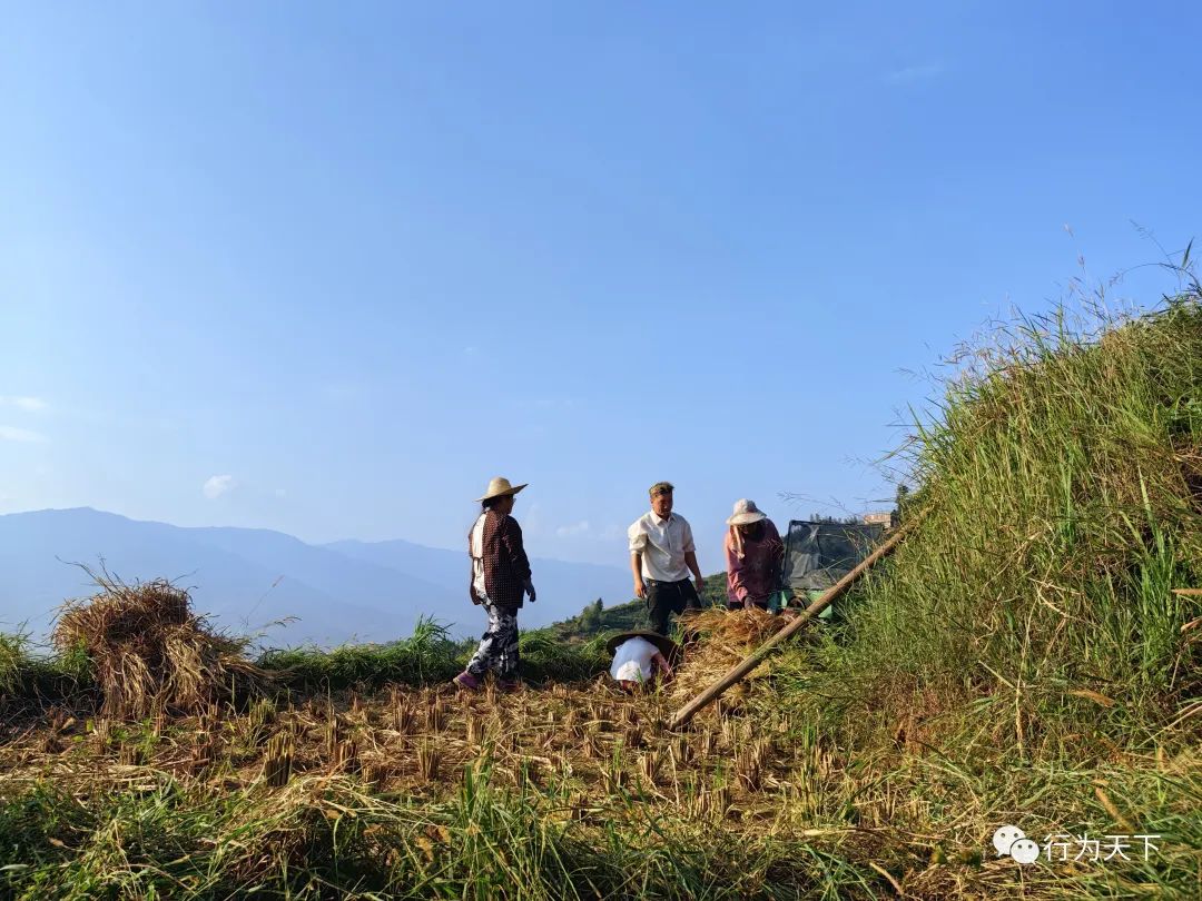 广西龙胜梯田旅游攻略-广西龙胜梯田景区门票(图96) 广西龙胜梯田景区民宿_广西龙胜梯田景区门票_广西龙胜梯田旅游攻略