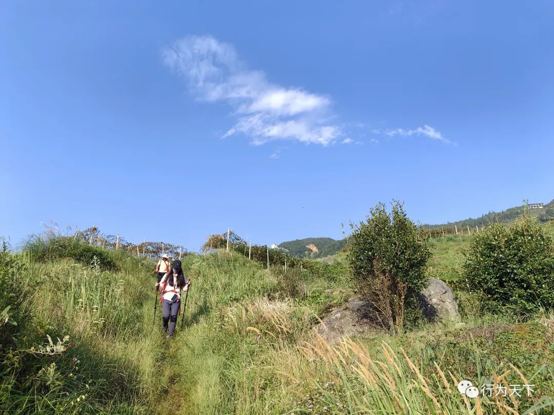 广西龙胜梯田旅游攻略-广西龙胜梯田景区门票(图98) 广西龙胜梯田景区门票_广西龙胜梯田景区民宿_广西龙胜梯田旅游攻略