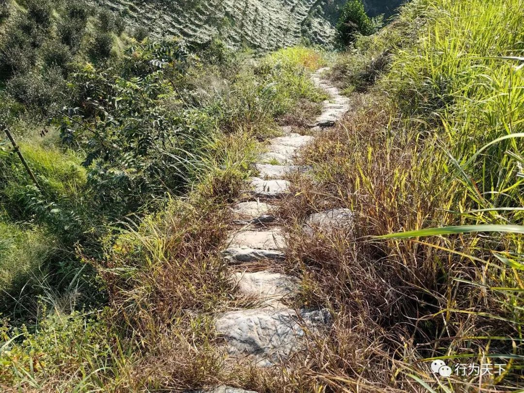 广西龙胜梯田旅游攻略-广西龙胜梯田景区门票(图100) 广西龙胜梯田景区门票_广西龙胜梯田景区民宿_广西龙胜梯田旅游攻略
