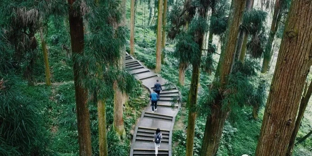 青城山都江堰旅游攻略-都江堰青城山旅游官网(图13) 都江堰青城山好玩吗_都江堰青城山旅游官网_青城山都江堰旅游攻略