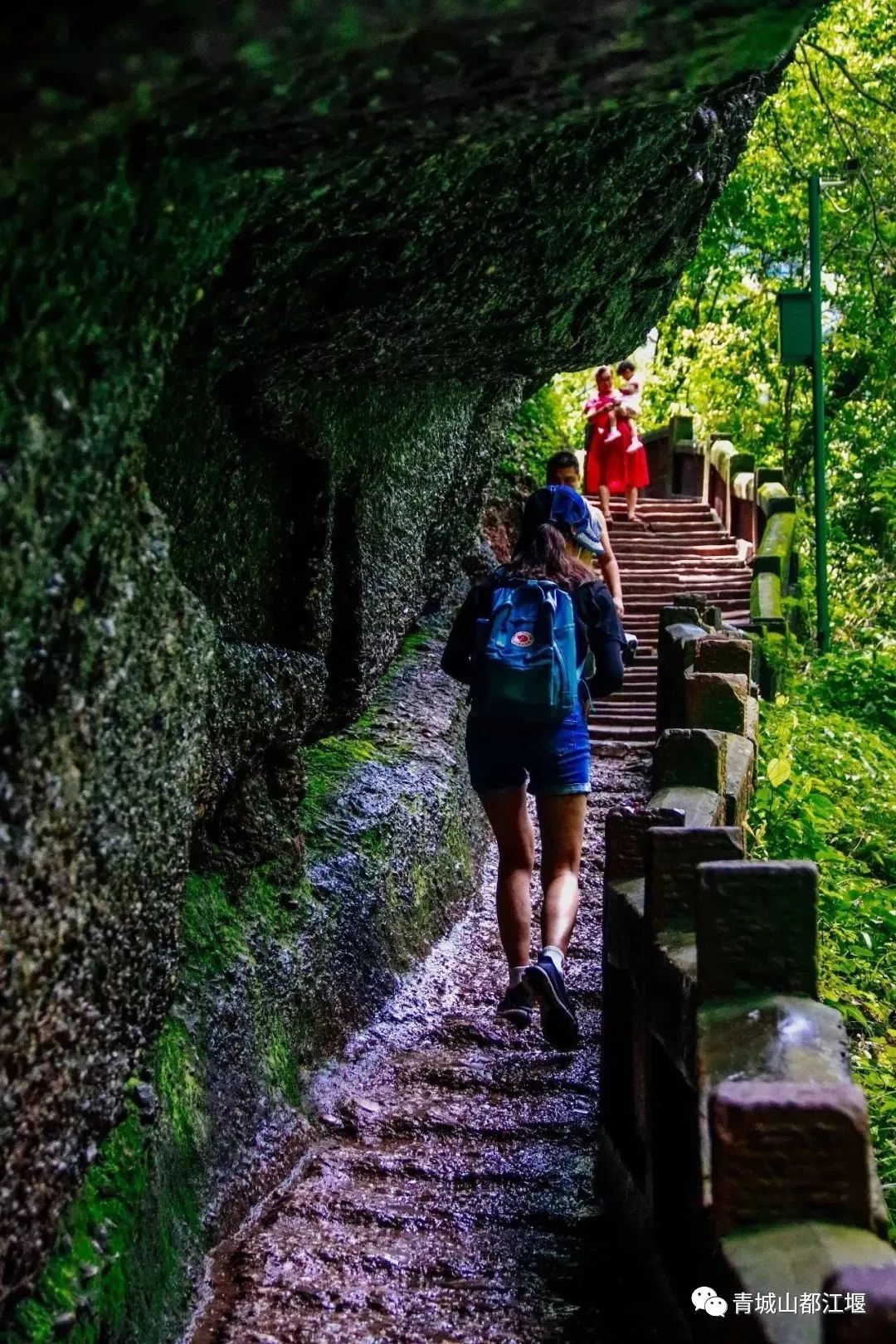 青城山都江堰旅游攻略-都江堰青城山旅游官网(图16) 都江堰青城山好玩吗_都江堰青城山旅游官网_青城山都江堰旅游攻略