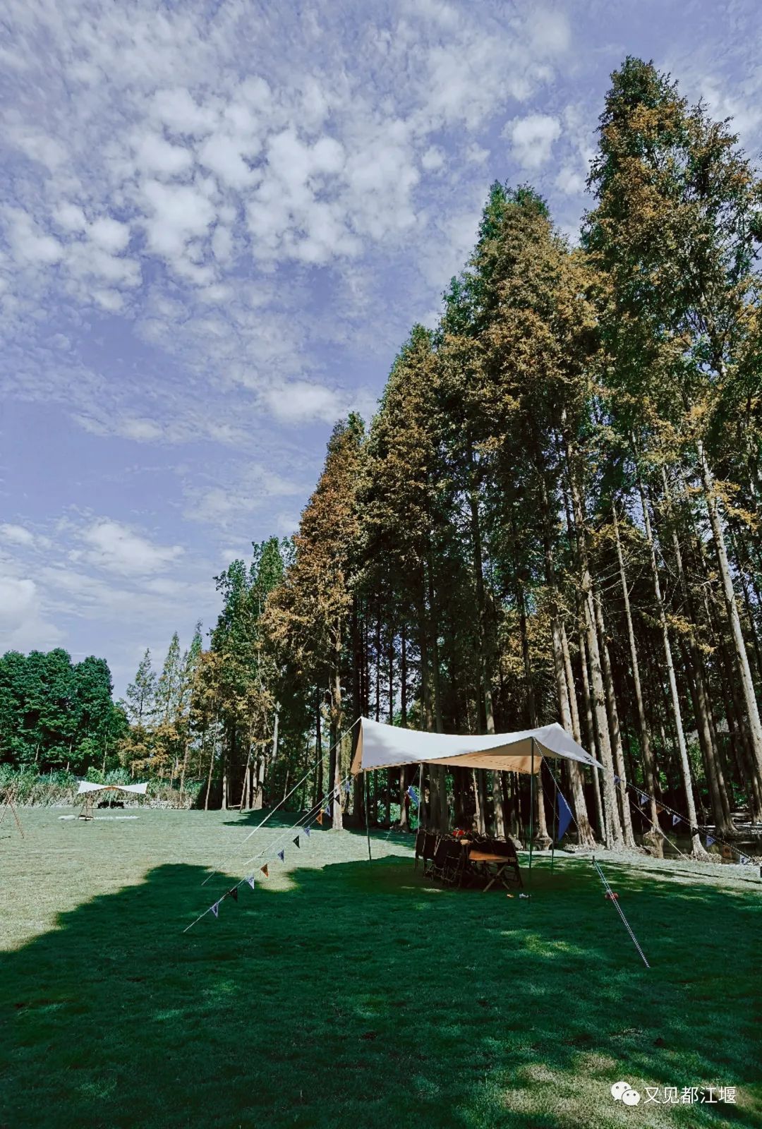 青城山都江堰旅游攻略-都江堰青城山旅游官网(图21) 都江堰青城山好玩吗_青城山都江堰旅游攻略_都江堰青城山旅游官网