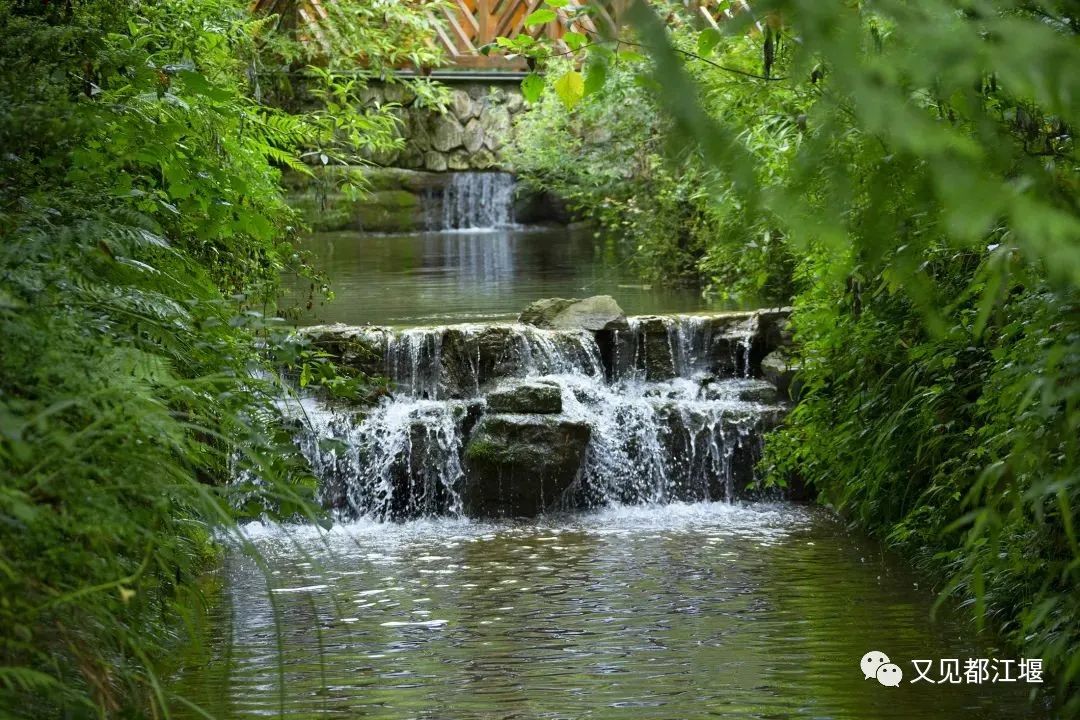 青城山都江堰旅游攻略-都江堰青城山旅游官网(图35) 都江堰青城山旅游官网_都江堰青城山好玩吗_青城山都江堰旅游攻略