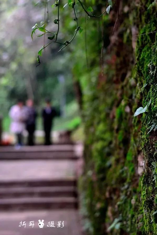 青城山都江堰旅游攻略-都江堰青城山旅游官网(图7) 都江堰青城山旅游官网_都江堰青城山好玩吗_青城山都江堰旅游攻略