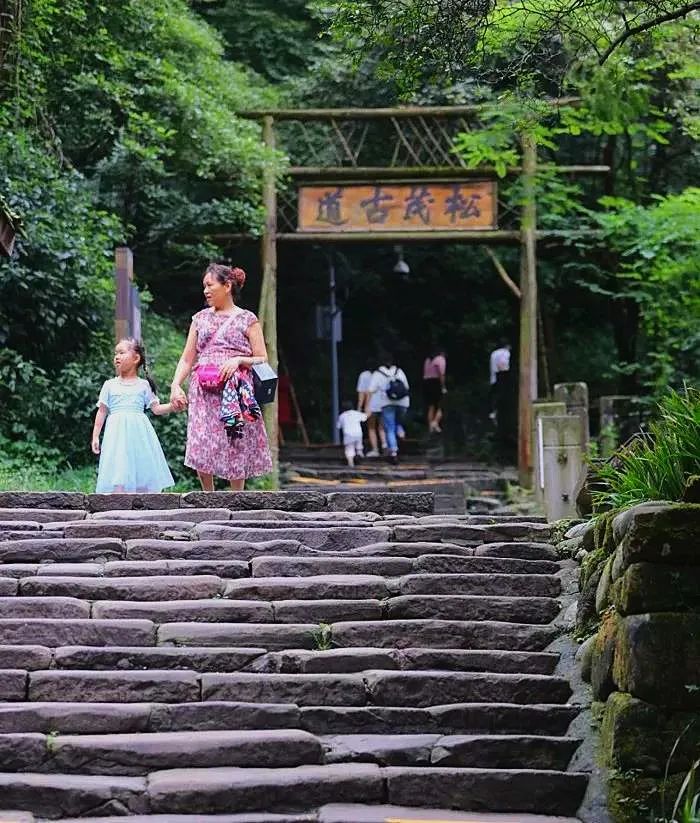 青城山都江堰旅游攻略-都江堰青城山旅游官网(图9) 都江堰青城山旅游官网_都江堰青城山好玩吗_青城山都江堰旅游攻略