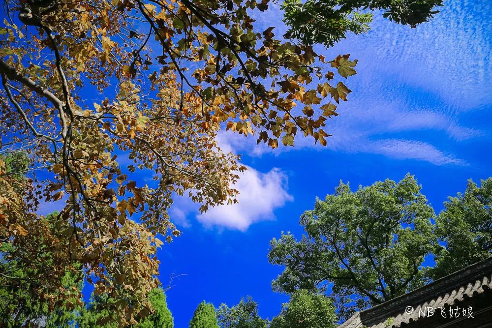 临海长城好玩吗_临海古长城旅游攻略_临海长城景色