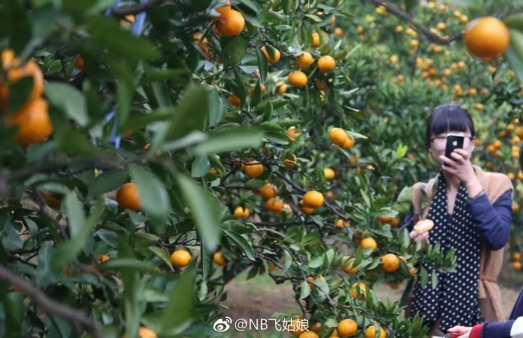 临海古长城旅游攻略_临海长城景色_临海长城好玩吗