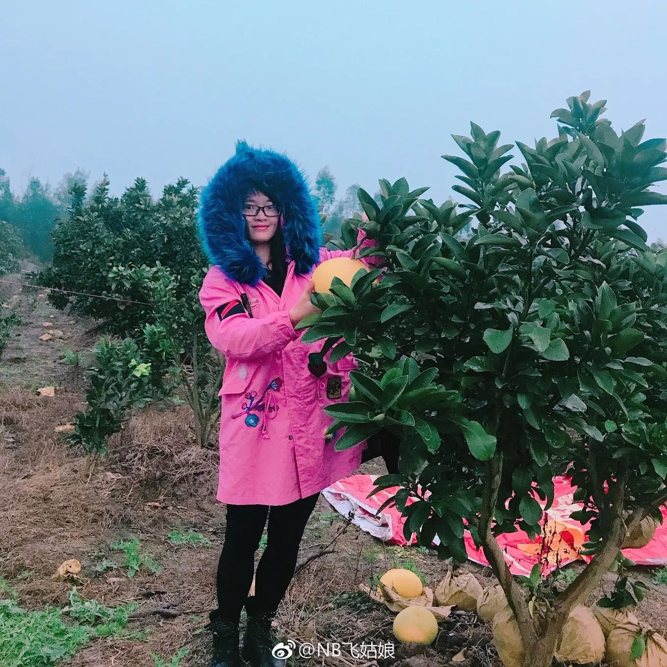 临海长城景色_临海古长城旅游攻略_临海长城好玩吗