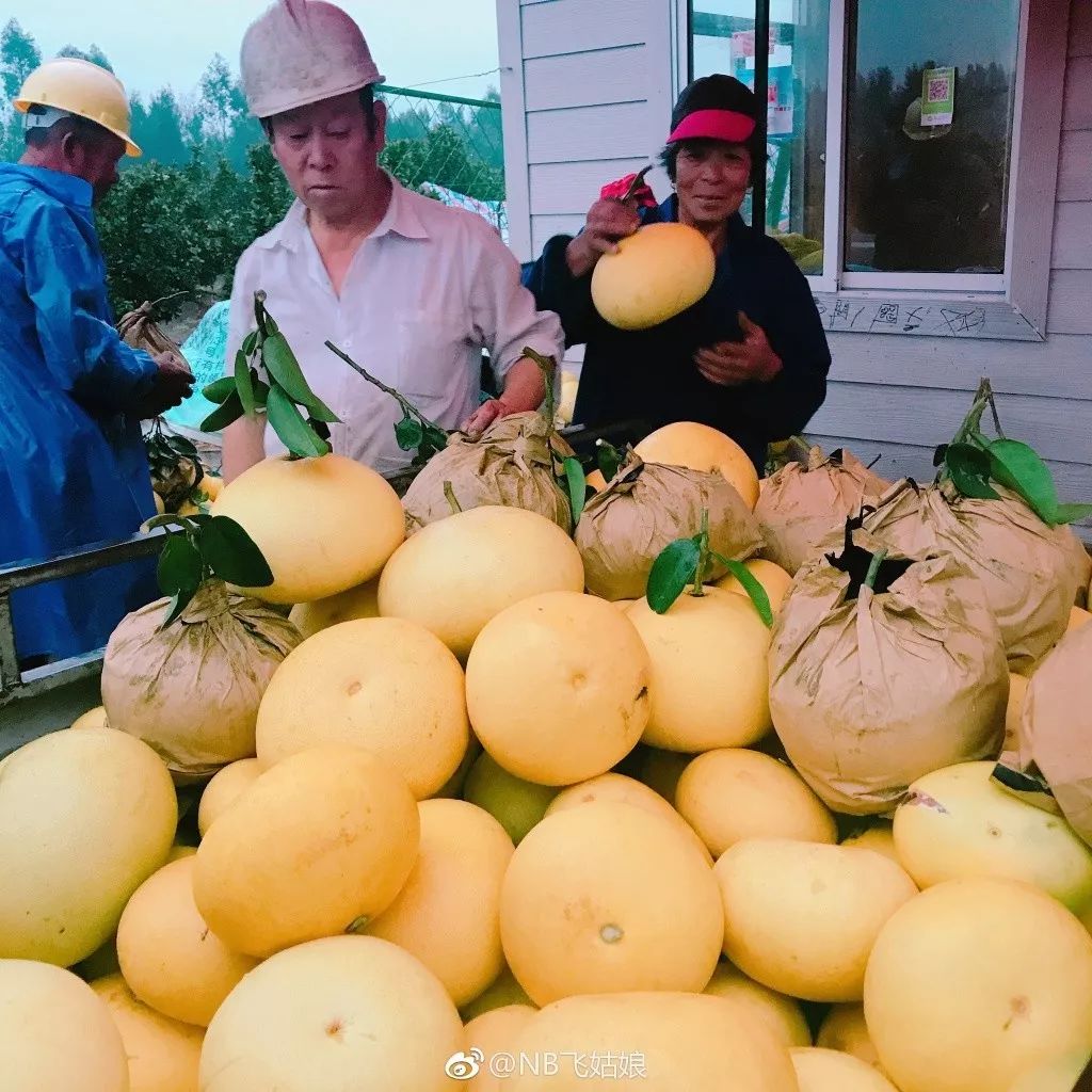 临海古长城旅游攻略_临海长城好玩吗_临海长城景色