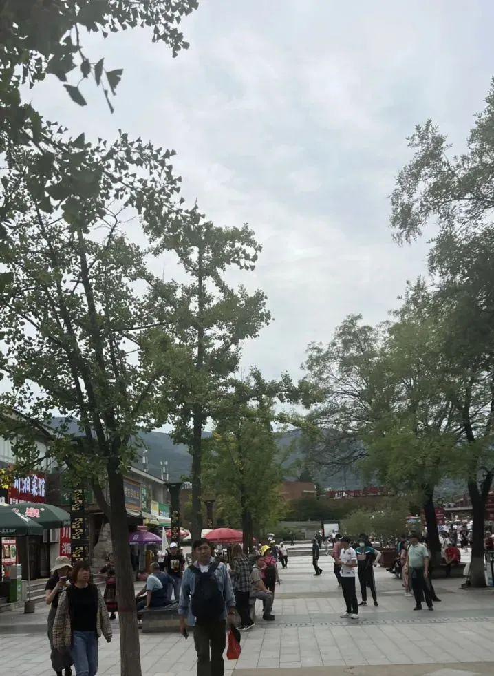 西安市内旅游攻略-西安旅游市内玩景点(图101) 西安旅游市内玩景点_西安市区内旅游_西安市内旅游攻略