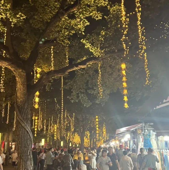 西安市内旅游攻略-西安旅游市内玩景点(图20) 西安市区内旅游_西安市内旅游攻略_西安旅游市内玩景点