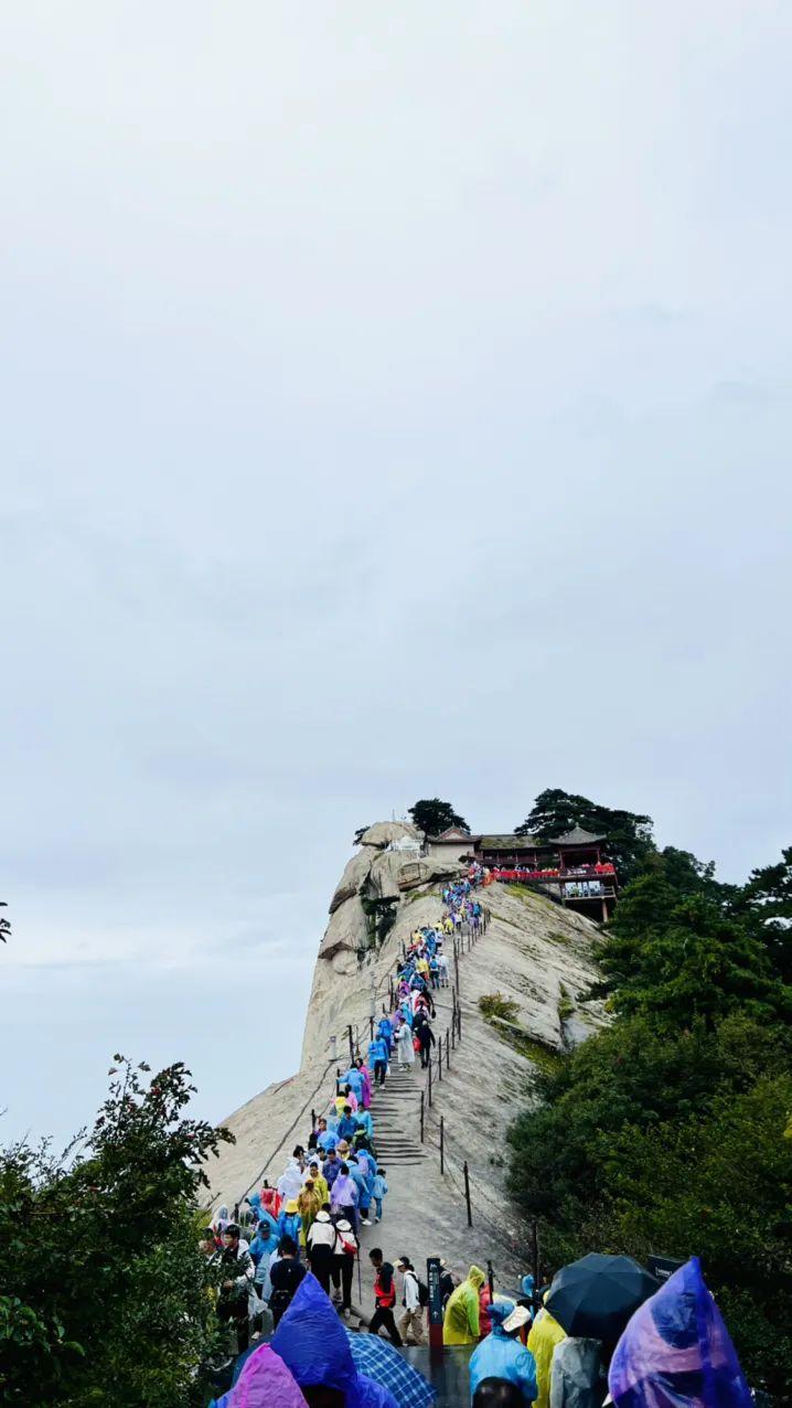 西安市内旅游攻略-西安旅游市内玩景点(图50) 西安市区内旅游_西安市内旅游攻略_西安旅游市内玩景点