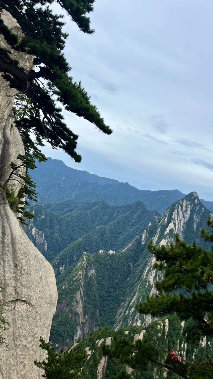 西安市内旅游攻略-西安旅游市内玩景点(图52) 西安市区内旅游_西安旅游市内玩景点_西安市内旅游攻略