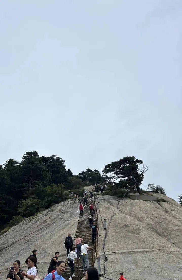 西安市内旅游攻略-西安旅游市内玩景点(图58) 西安旅游市内玩景点_西安市内旅游攻略_西安市区内旅游