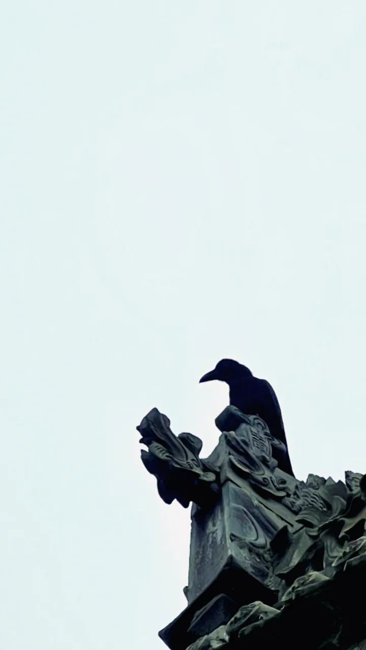 西安市内旅游攻略-西安旅游市内玩景点(图71) 西安市区内旅游_西安旅游市内玩景点_西安市内旅游攻略