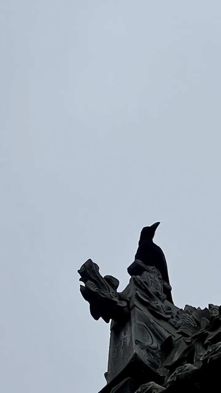 西安市内旅游攻略-西安旅游市内玩景点(图72) 西安旅游市内玩景点_西安市区内旅游_西安市内旅游攻略