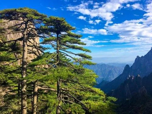 宏村西递两日游_宏村西递旅游攻略一日游_西递 宏村 旅游攻略
