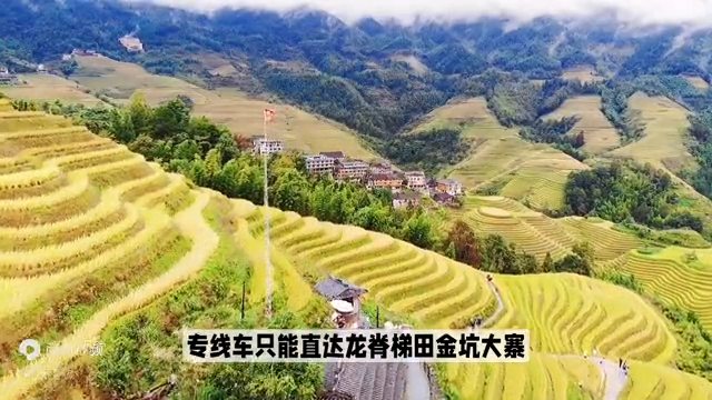 广西龙脊梯田哪里好玩_广西龙脊梯田旅游攻略_广西龙脊梯田美景