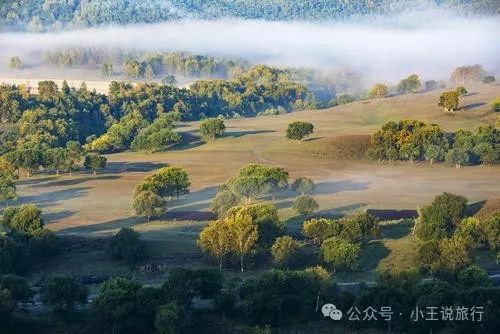 陈巴尔虎旗中的旗是什么意思_陈巴尔虎旗旅游攻略_陈巴尔虎旗景点