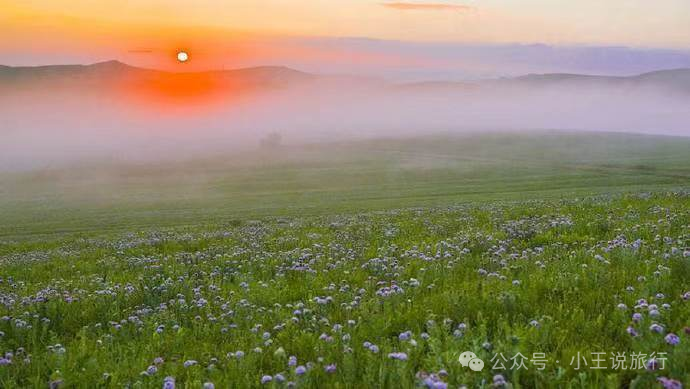 陈巴尔虎旗景点_陈巴尔虎旗旅游攻略_陈巴尔虎旗中的旗是什么意思