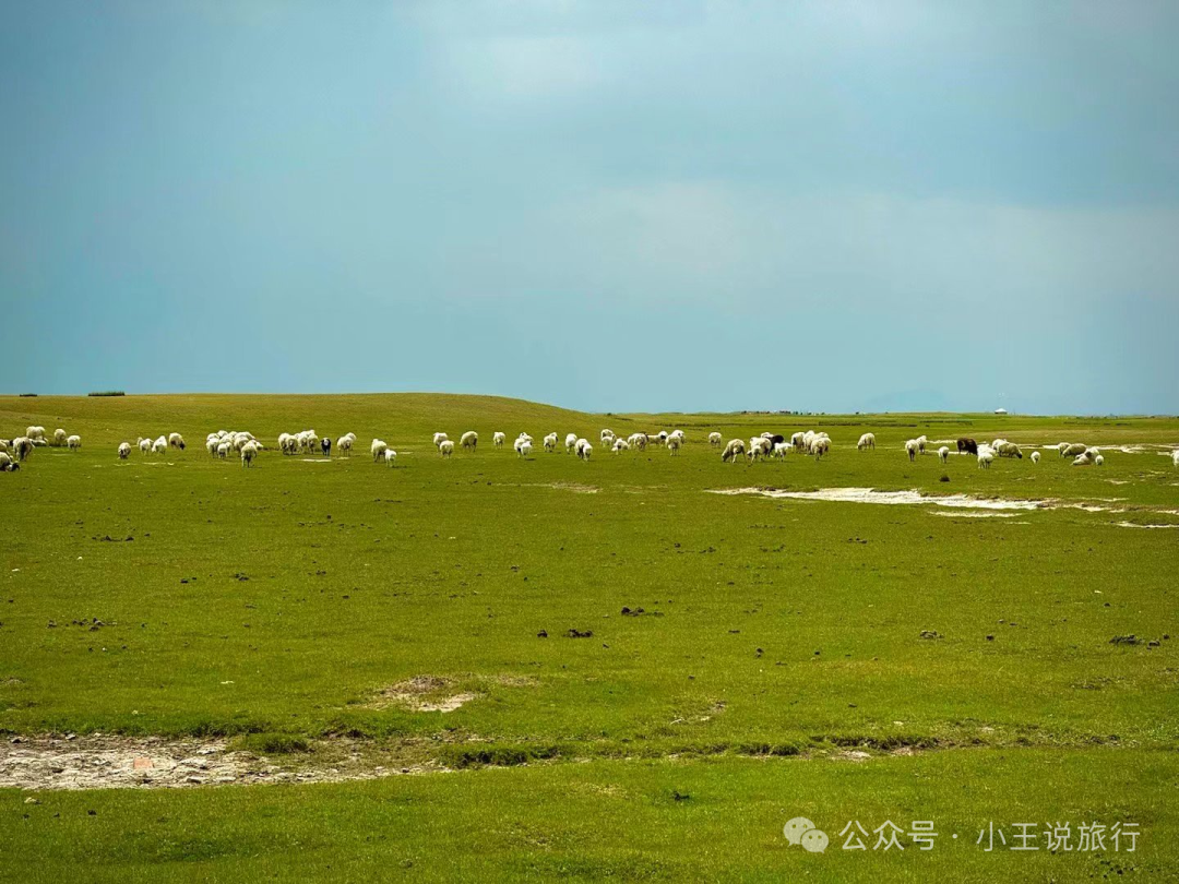 陈巴尔虎旗中的旗是什么意思_陈巴尔虎旗景点_陈巴尔虎旗旅游攻略