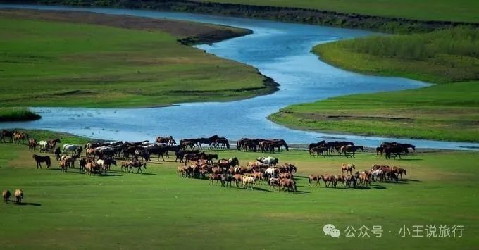 陈巴尔虎旗旅游攻略_陈巴尔虎旗中的旗是什么意思_陈巴尔虎旗景点