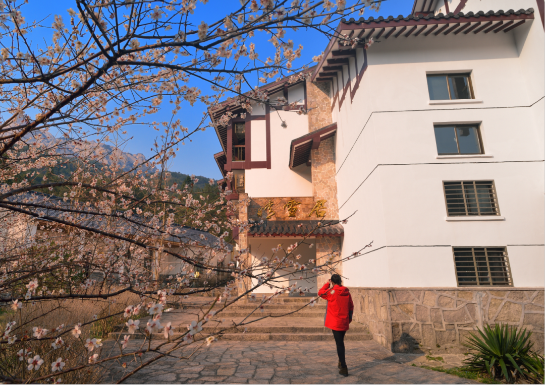 天柱山旅游攻略2024_天柱山旅游区_天柱山旅游网