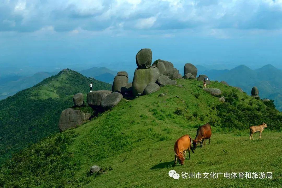 钦州三娘湾旅游详细攻略_钦州三娘湾游玩攻略_钦州市三娘湾景点门票