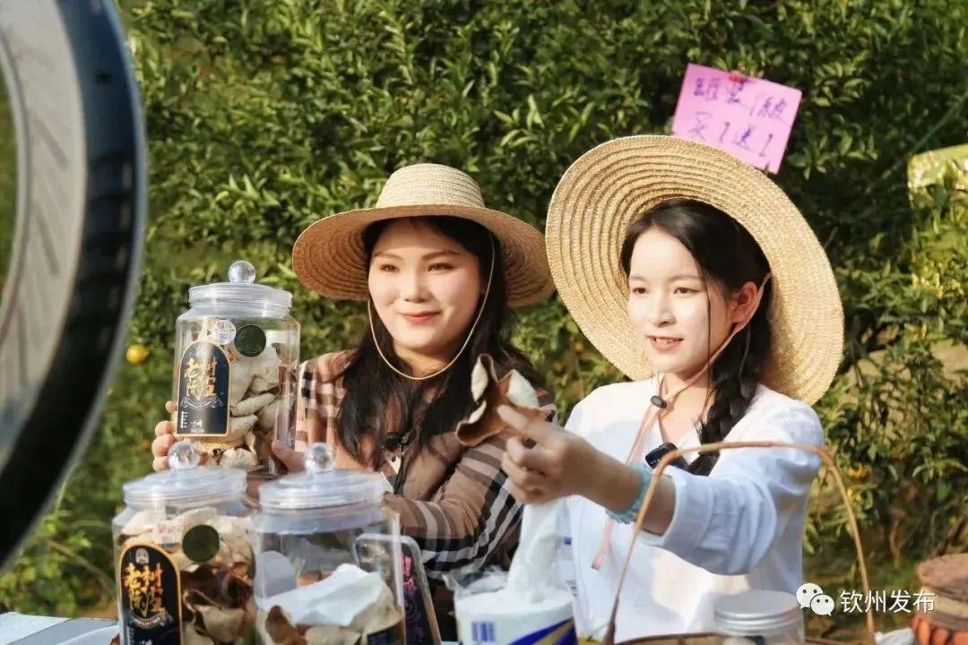 钦州三娘湾旅游详细攻略_钦州市三娘湾景点门票_钦州三娘湾游玩攻略