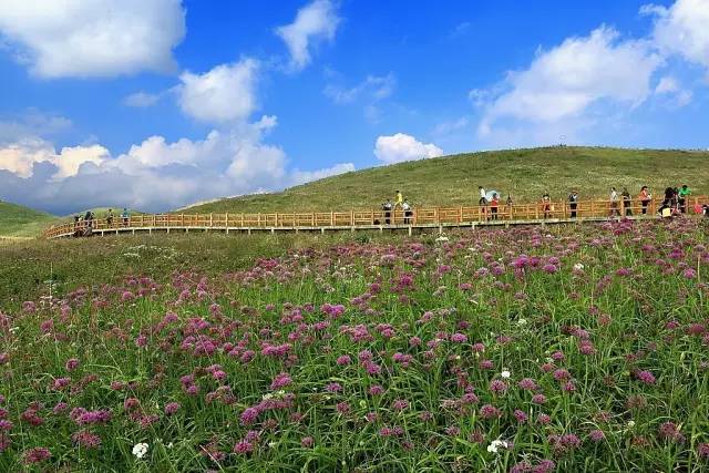 万峰林旅游攻略自驾游-徒步万峰林(图19) 万峰林旅游攻略自驾游_徒步万峰林_游万峰林需要多少时间