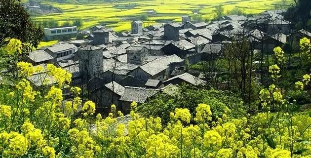 万峰林旅游攻略自驾游-徒步万峰林(图29) 徒步万峰林_游万峰林需要多少时间_万峰林旅游攻略自驾游