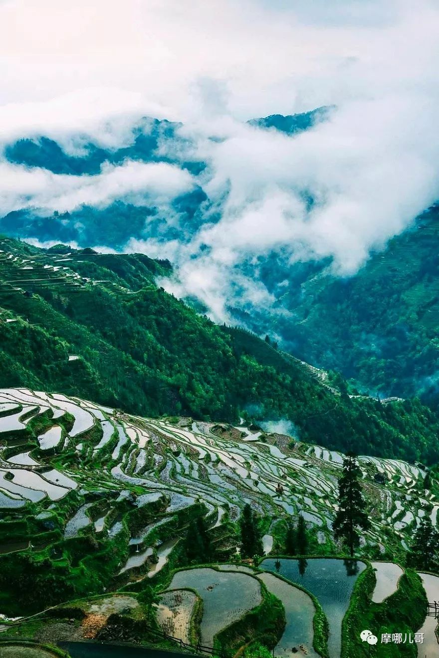 万峰林旅游攻略自驾游-游万峰林需要多少时间(图9) 万峰林游记_万峰林旅游攻略自驾游_游万峰林需要多少时间