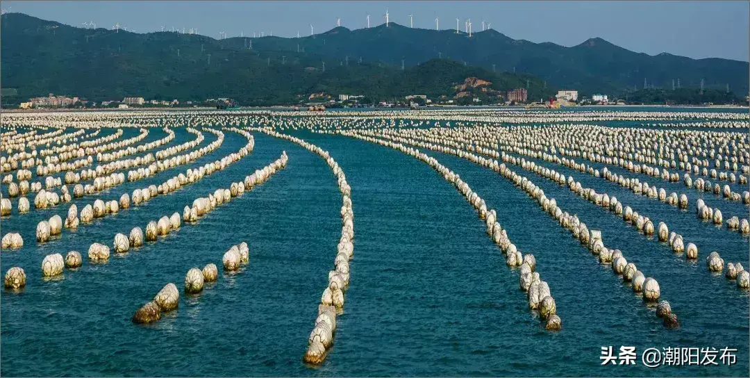 巴厘岛金银岛旅游攻略-巴厘岛度假胜地(图23) 巴厘岛金沙滩在哪_巴厘岛金银岛旅游攻略_巴厘岛度假胜地