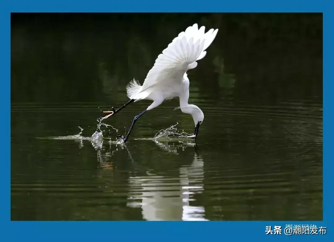 巴厘岛金银岛旅游攻略-巴厘岛度假胜地(图52) 巴厘岛金银岛旅游攻略_巴厘岛金沙滩在哪_巴厘岛度假胜地