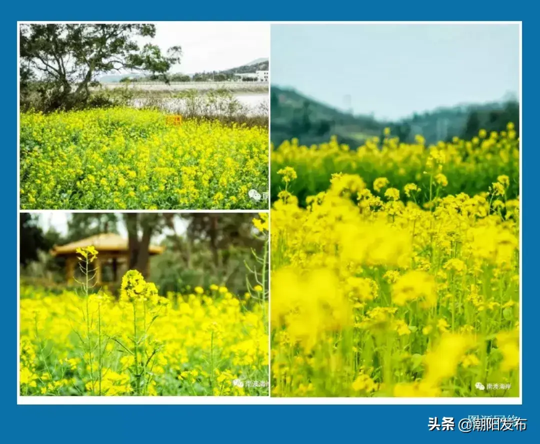 巴厘岛金银岛旅游攻略-巴厘岛度假胜地(图55) 巴厘岛度假胜地_巴厘岛金沙滩在哪_巴厘岛金银岛旅游攻略