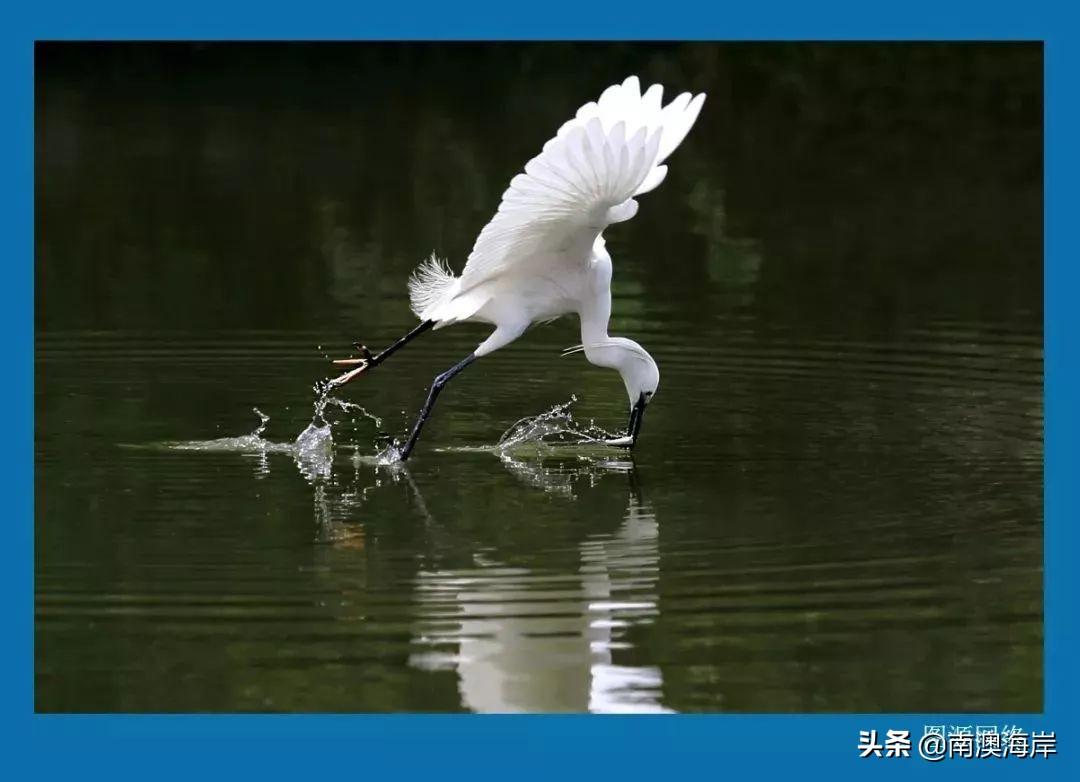 巴厘岛金银岛旅游攻略-巴厘岛度假胜地(图52) 巴厘岛金银岛旅游攻略_巴厘岛度假胜地_巴厘岛金巴兰海滩图片