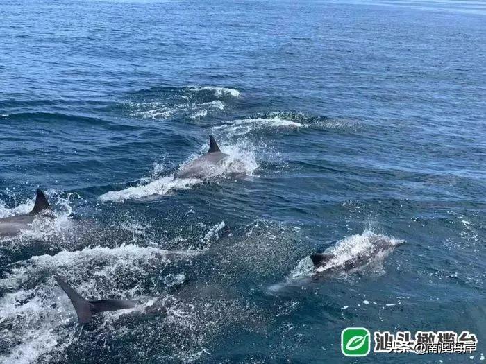 巴厘岛金银岛旅游攻略-巴厘岛度假胜地(图77) 巴厘岛度假胜地_巴厘岛金银岛旅游攻略_巴厘岛金巴兰海滩图片