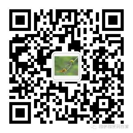 时尚交友_交友交际_交友风格