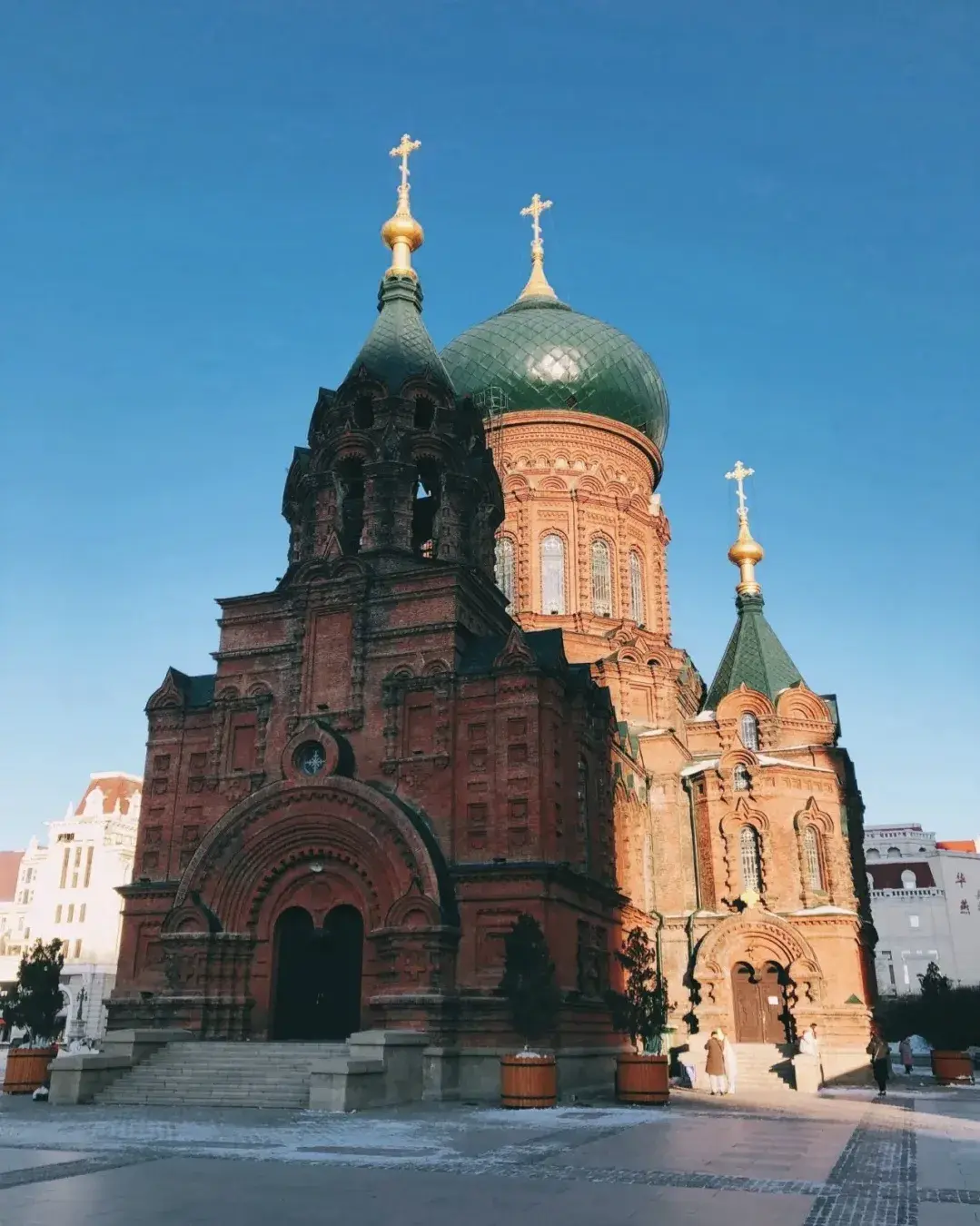 哈尔滨动物园游玩攻略_哈尔滨动物园旅游攻略_哈尔滨动物园一日游