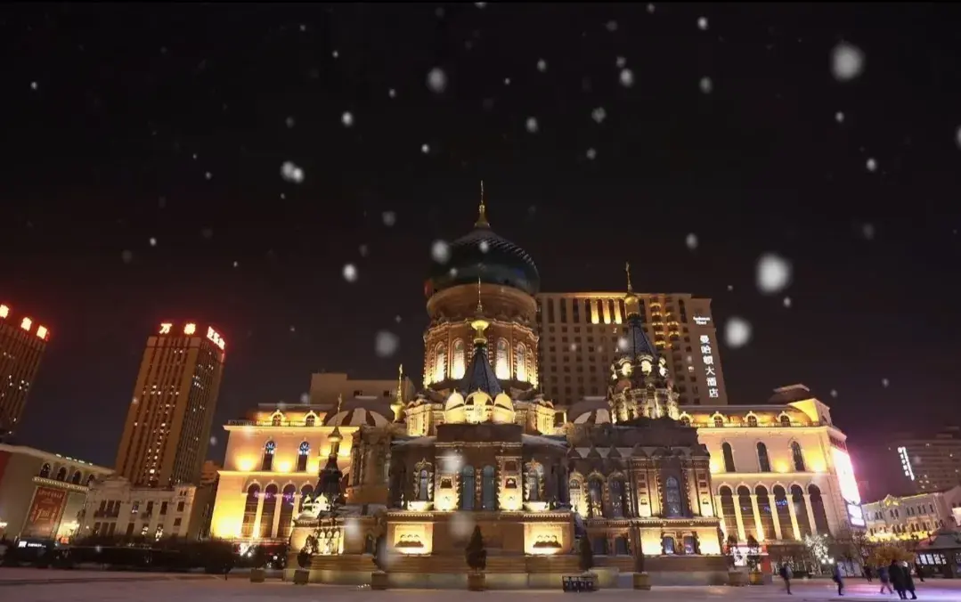 哈尔滨动物园游玩攻略_哈尔滨动物园一日游_哈尔滨动物园旅游攻略