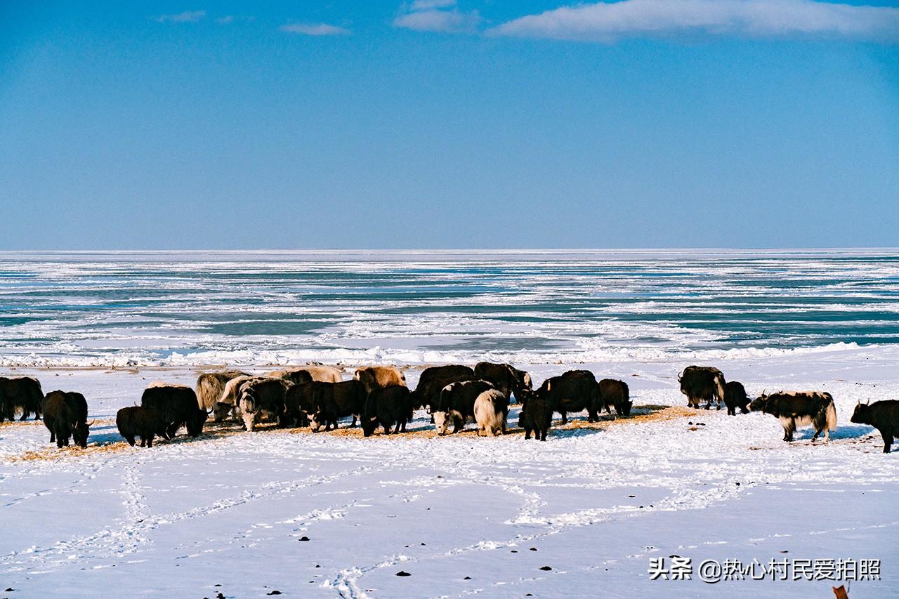 冬天青海湖旅游攻略-海天湖公园一圈几公里(图12) 海天湖公园可以钓鱼吗_冬天青海湖旅游攻略_海天湖公园一圈几公里