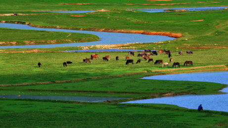 靖西旅游攻略自驾游_靖西旅游攻略_攻略旅游靖西的路线