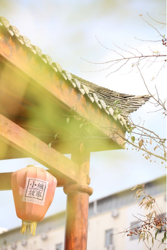 攻略旅游靖西的路线_靖西旅游攻略自驾游_靖西旅游攻略