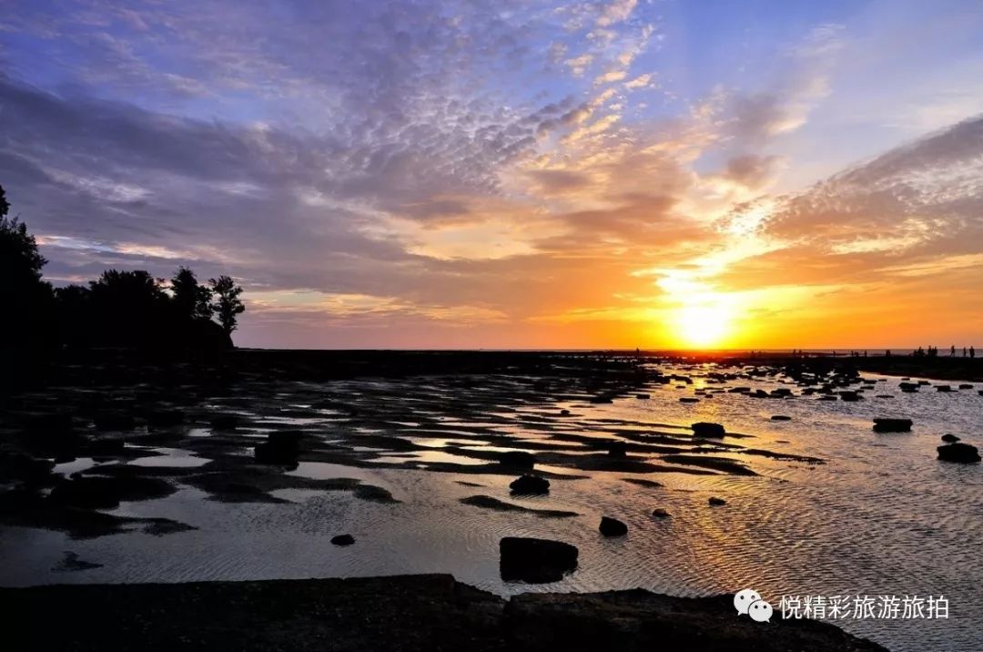 涠洲岛海鲜加工有什么猫腻_涠洲岛旅游攻略 海鲜_硇洲岛海鲜市场