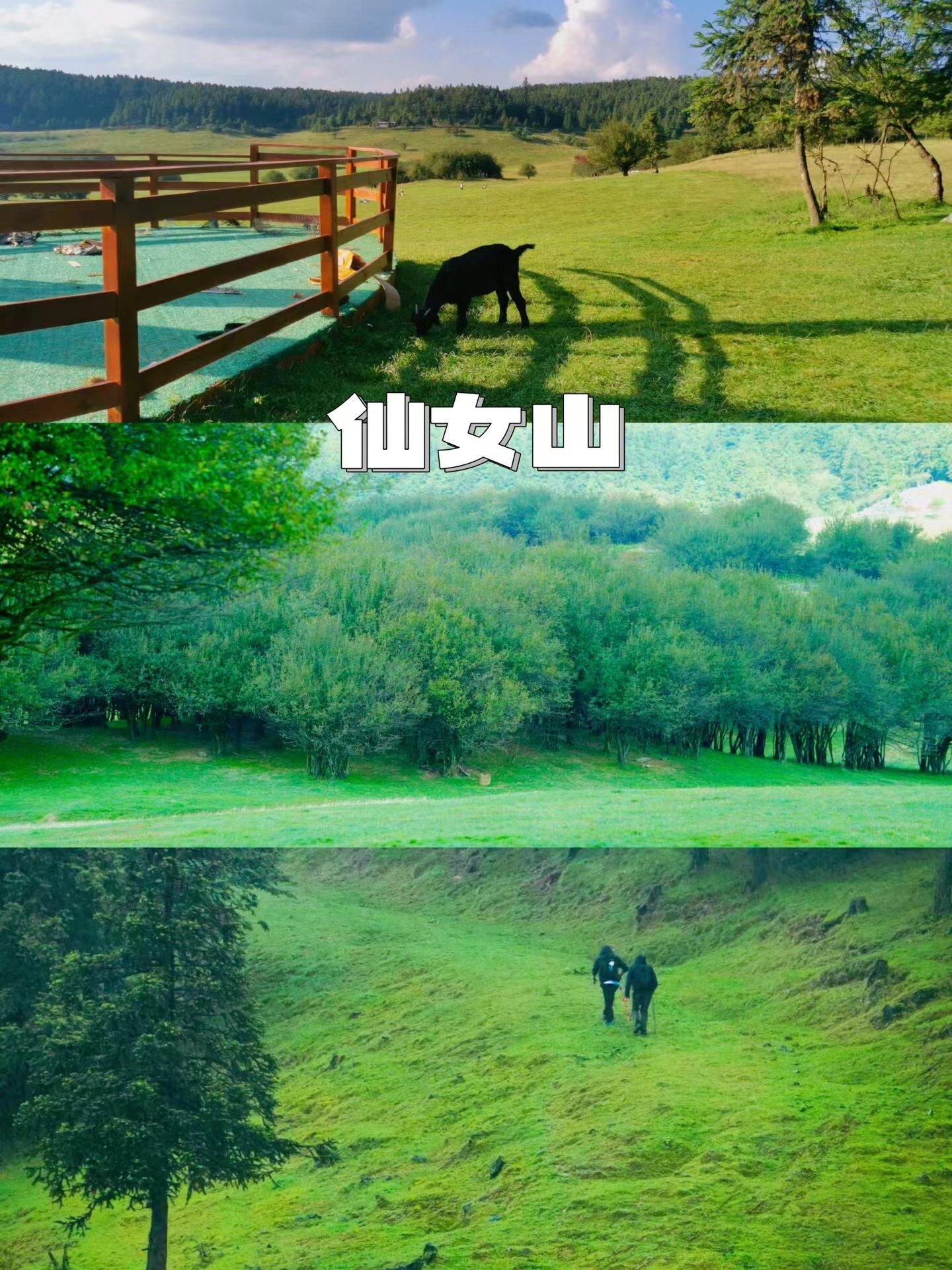 重庆黔江旅游景点_重庆黔江旅游攻略_重庆黔江旅游必去景点