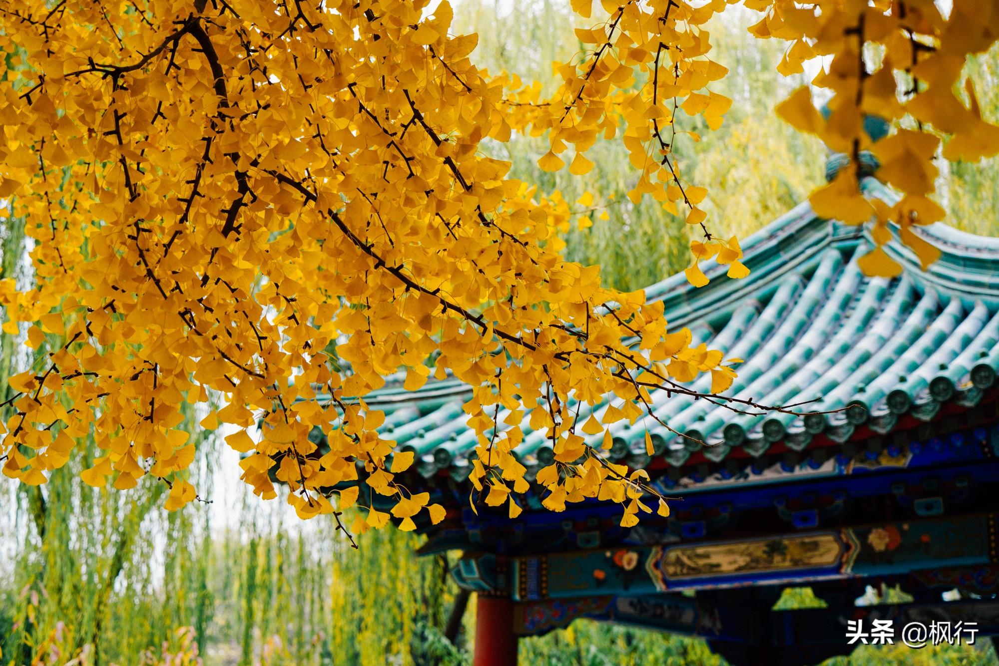 北京红螺寺旅游攻略_北京红螺寺2021年图片_北京红螺寺的位置