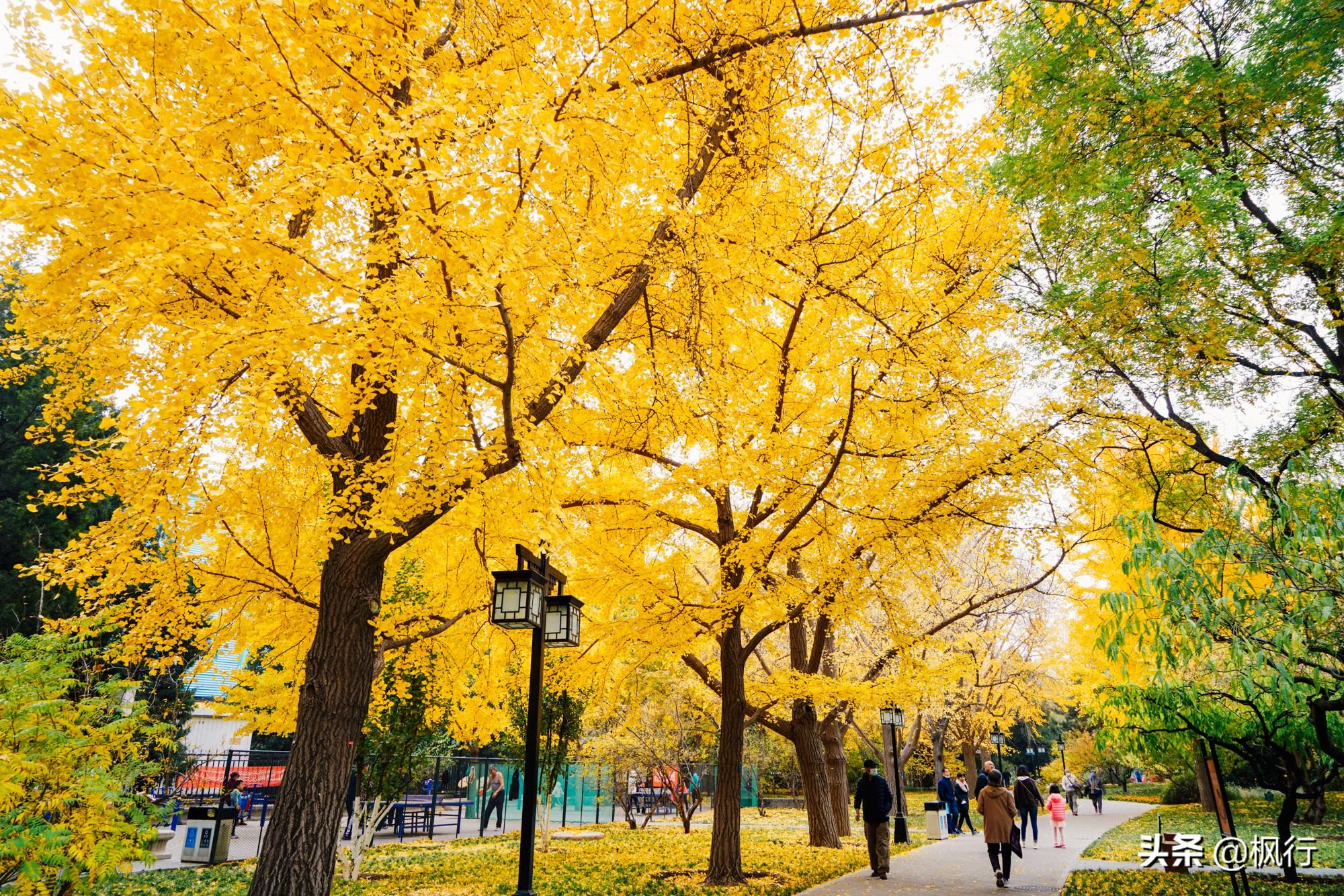 北京红螺寺2021年图片_北京红螺寺的位置_北京红螺寺旅游攻略