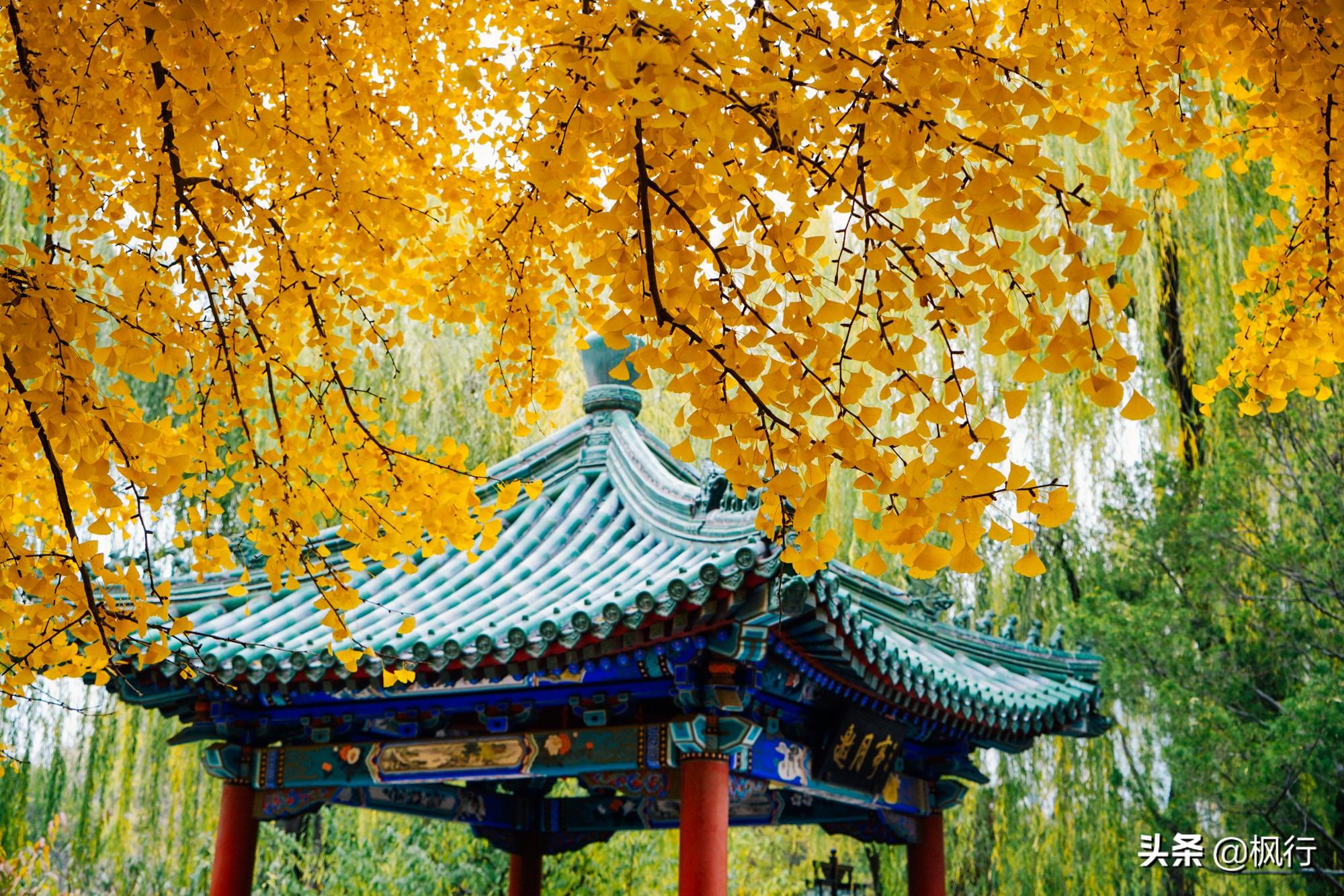 北京红螺寺2021年图片_北京红螺寺的位置_北京红螺寺旅游攻略