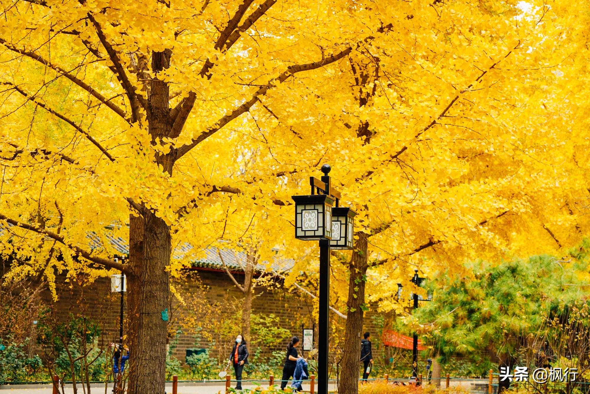 北京红螺寺的位置_北京红螺寺2021年图片_北京红螺寺旅游攻略